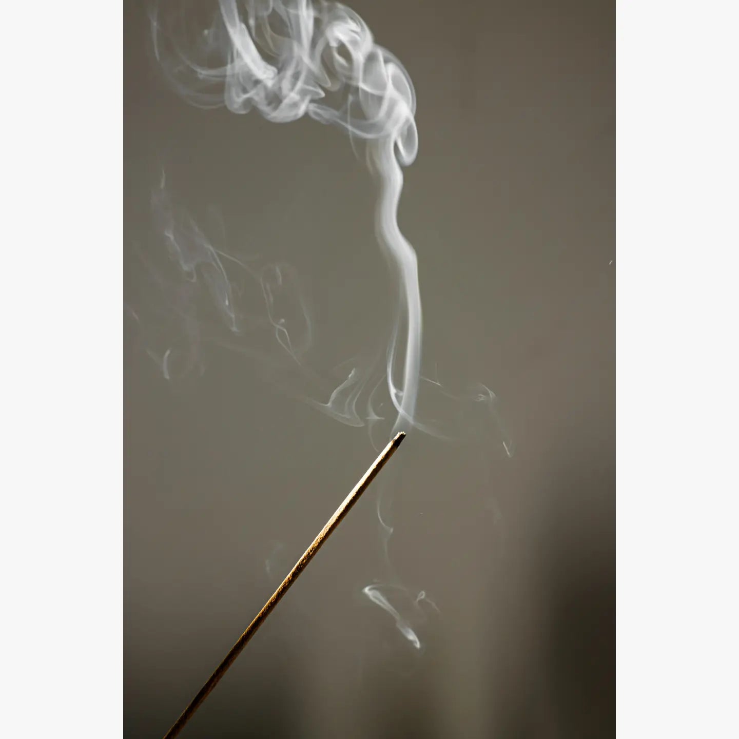 Evergreen Stick Incense