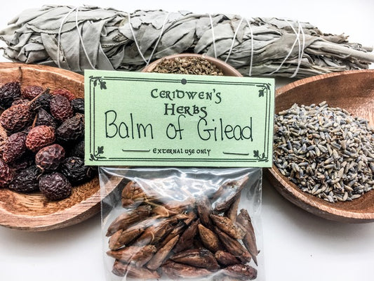 Balm of Gilead Herb Packet