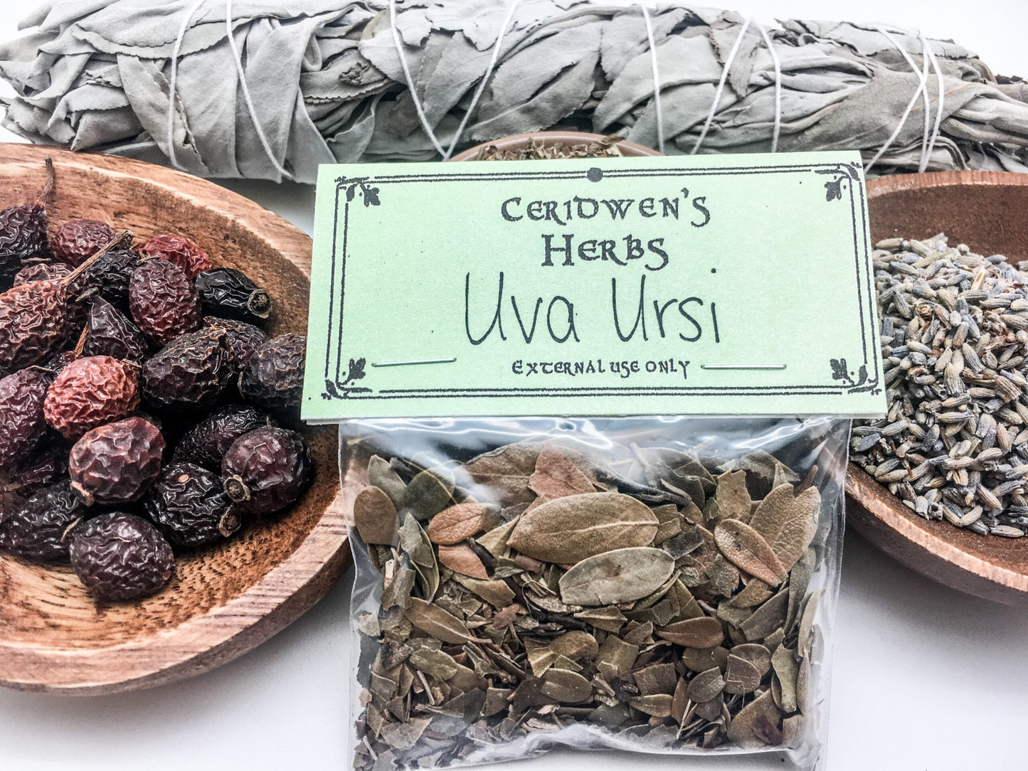 Uva Ursi Herb Packet