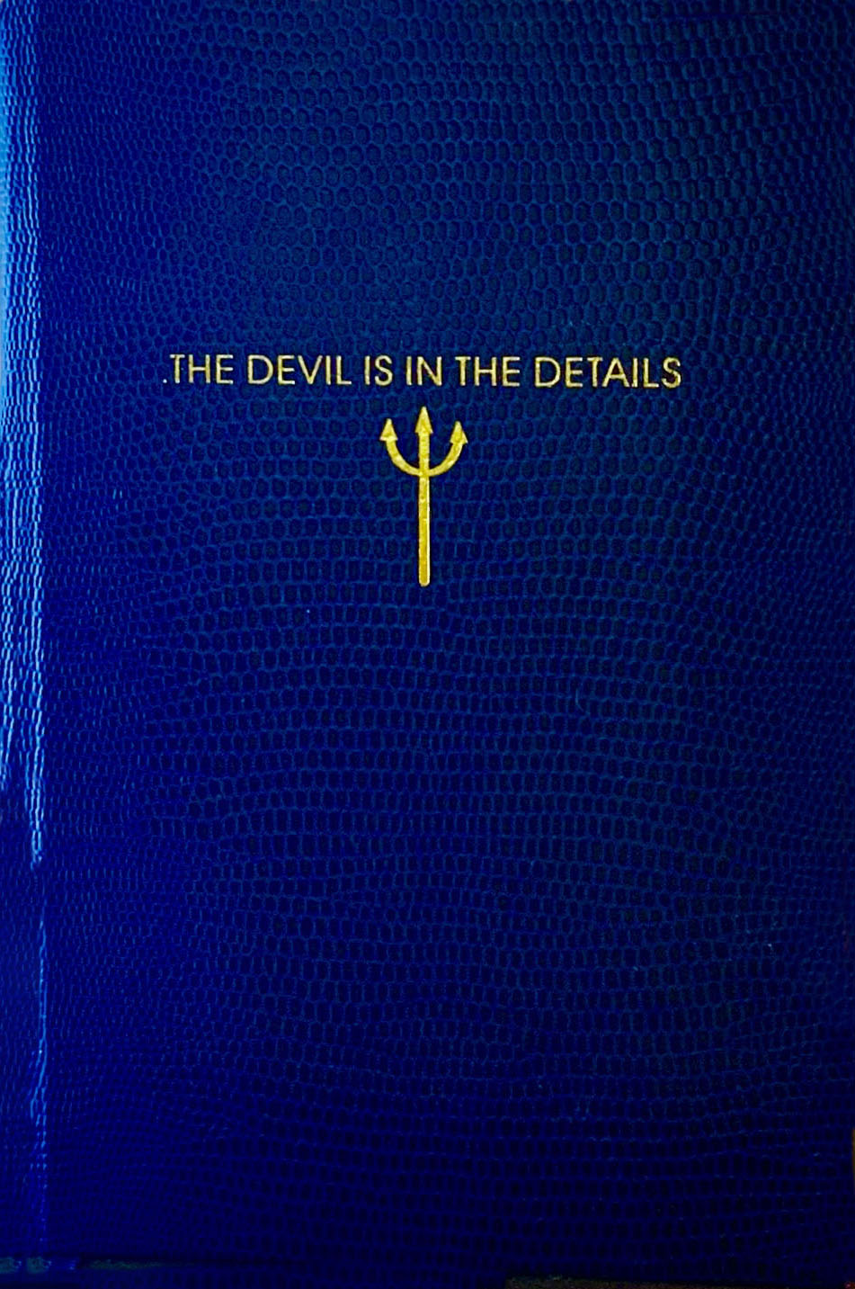 Devil is in the Details Journal