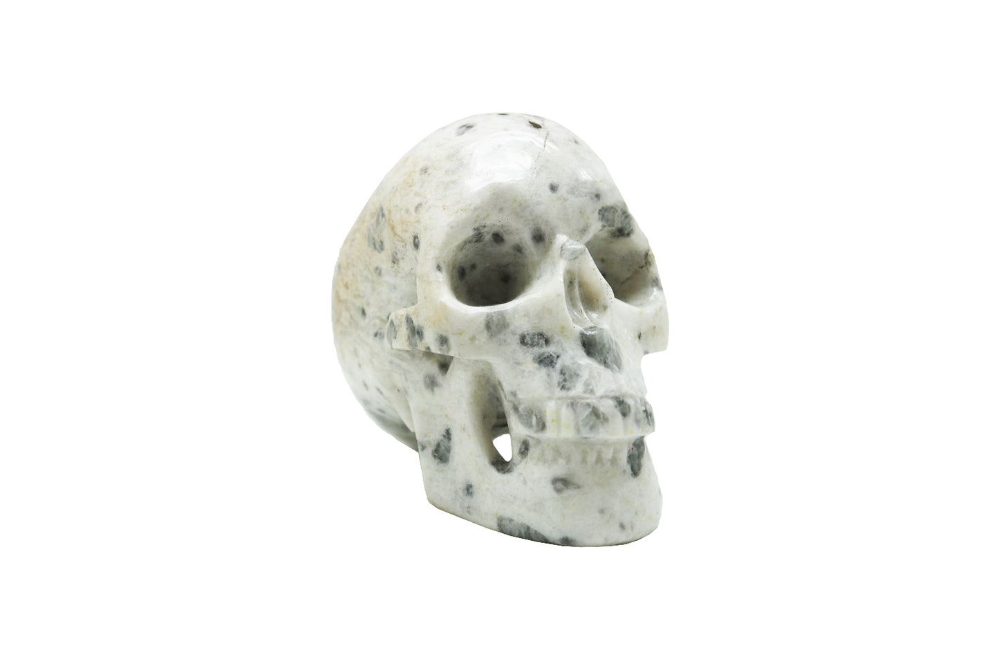 Skull Moonstone - medium
