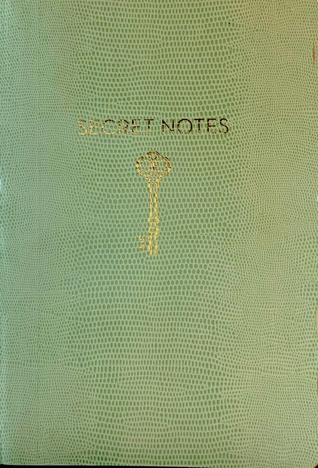 Secret Notes - Journal