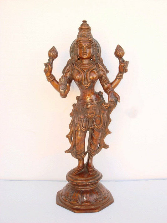 Laxmi Standing