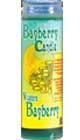 Bayberry Scented Candle