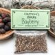 Bayberry Herb Packet