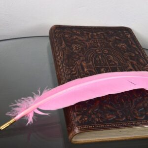Pink Turkey Feather Quill Pen