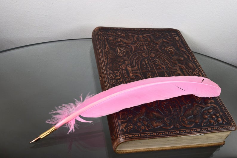 Pink Turkey Feather Quill Pen – Objets d'Art & Spirit