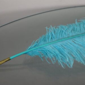 Light Blue Ostrich Feather Quill Pen
