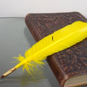 Yellow Turkey Feather Quill Pen