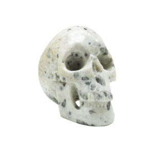 Skull Moonstone - medium